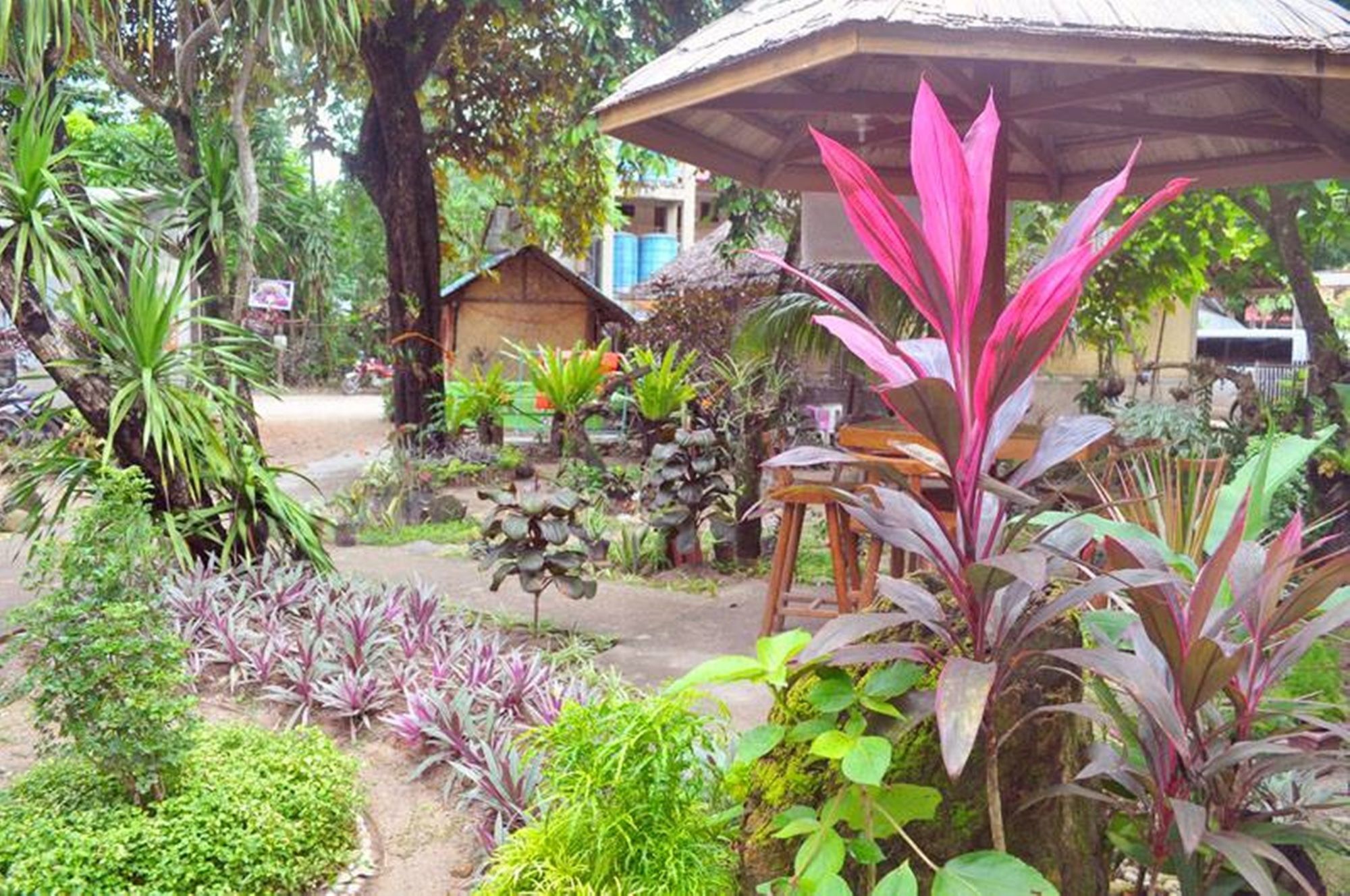 Peak House Garden Pensión El Nido Exterior foto